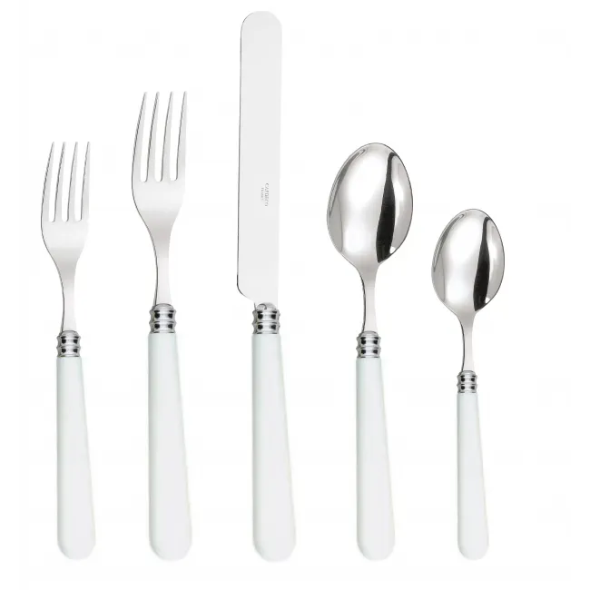5 Piece Place Setting, Helios