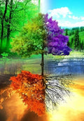 5d Hotsale Diamond Painting Kit - DIY Custom Kits  196