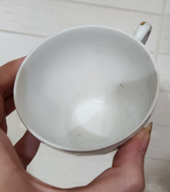 6 Japanese Porcelain Tea Cups and Saucers Set