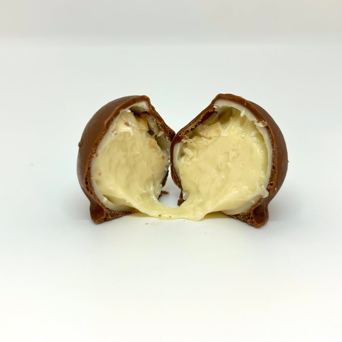 Premium Chocolate Coconut Cream Bars
