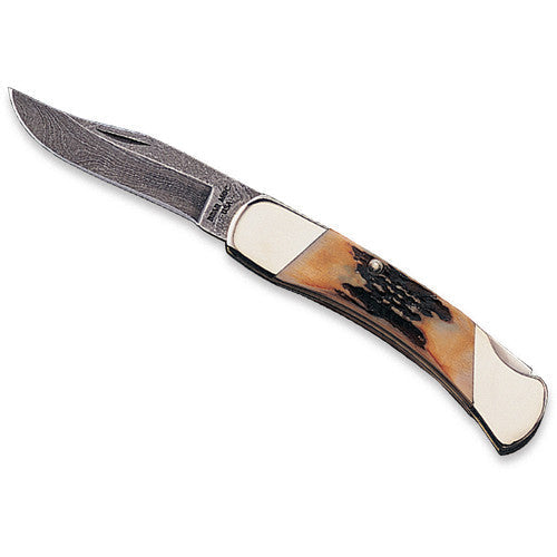 Bear & Son - Slimline Lockback - Damascus Blade - Bone Handle - 505D