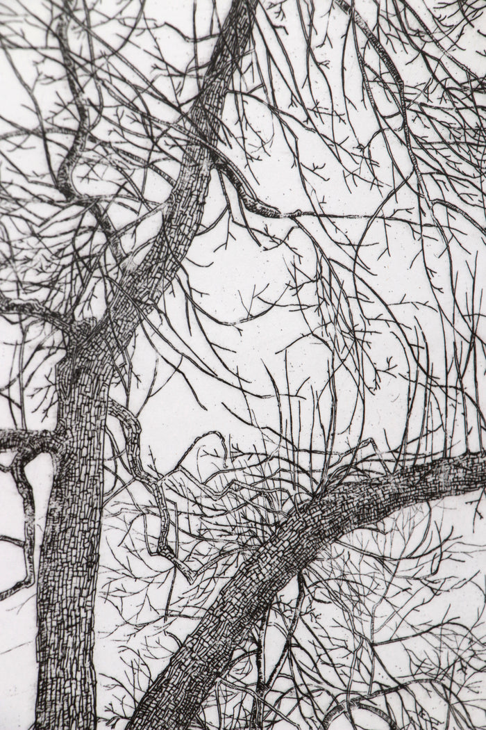 Beautiful Etching by Jos Hameleers, 1948 – Honthem