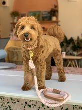 Bella Rose Leash