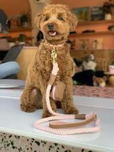 Bella Rose Leash