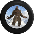 Bigfoot Yeti Sasquash Canadian Wilderness