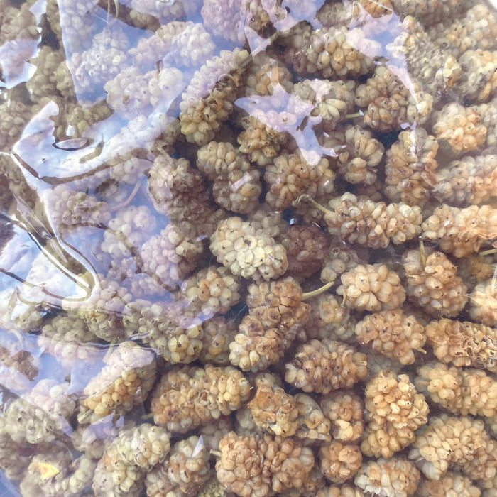 Bulgurlu | Dried Mulberries - TryAladdin