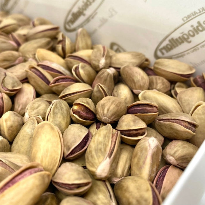 Celebiogullari | Antep Salted Pistachios ( 1 lb | 454 g) - TryAladdin