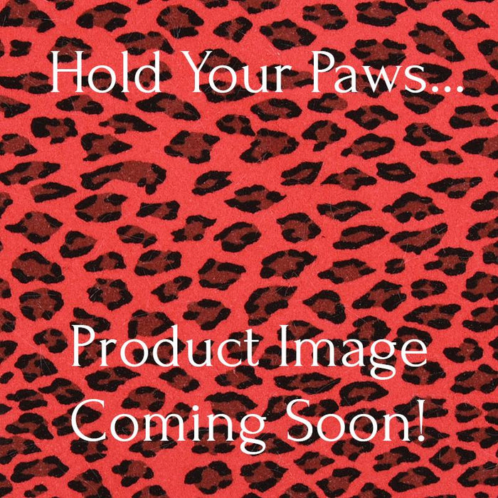 Cheetah Couture Bailey Harness