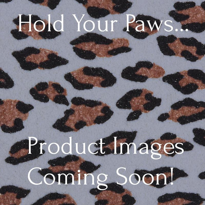 Cheetah Couture Bailey Harness