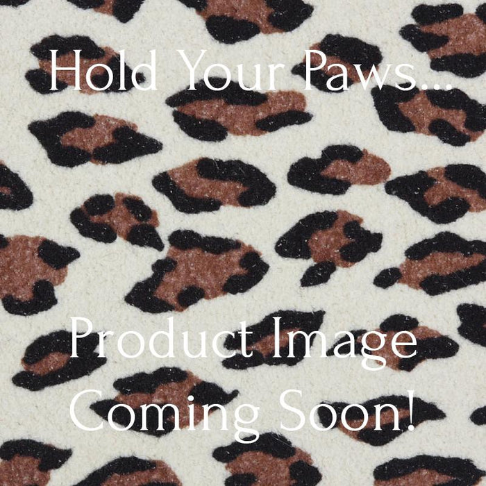 Cheetah Couture Bailey Harness