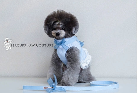 Claire Stripe Doggie Harness