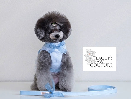 Claire Stripe Doggie Harness