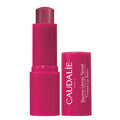 Colored Lip Balm - Hydrating & Nourishing with Organic Shea & Grape Polyphenols - TryAladdin