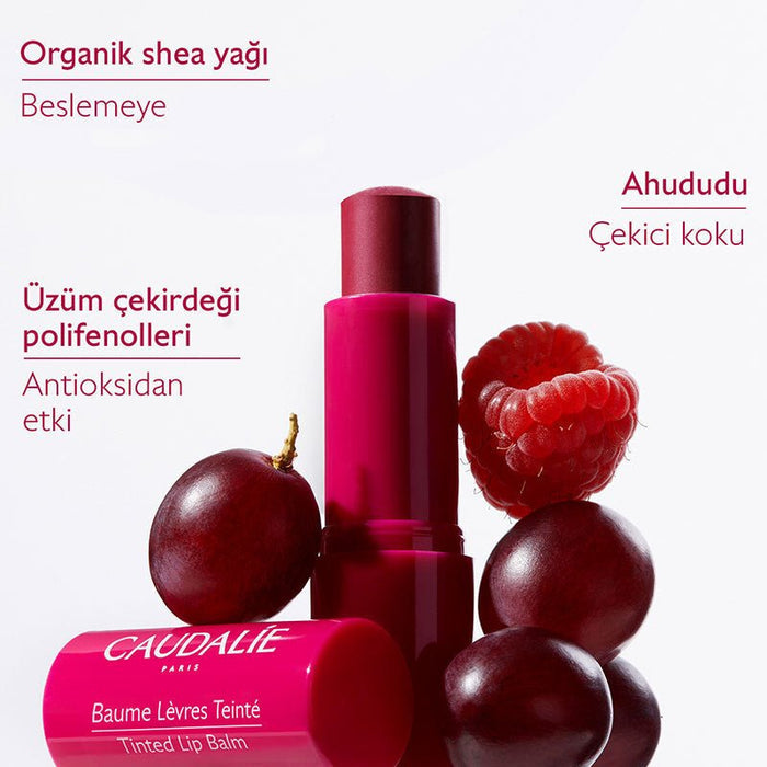 Colored Lip Balm - Hydrating & Nourishing with Organic Shea & Grape Polyphenols - TryAladdin
