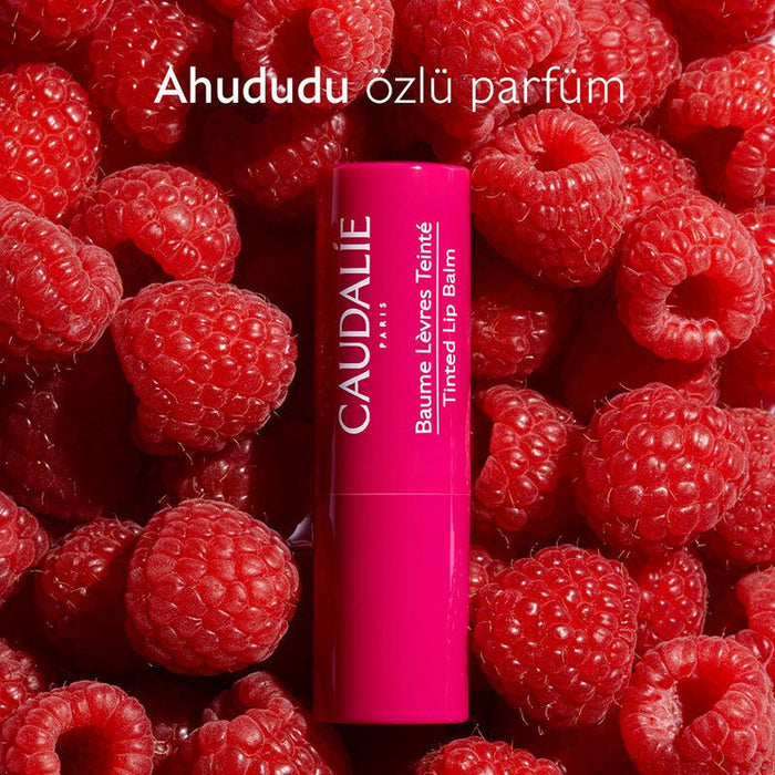Colored Lip Balm - Hydrating & Nourishing with Organic Shea & Grape Polyphenols - TryAladdin