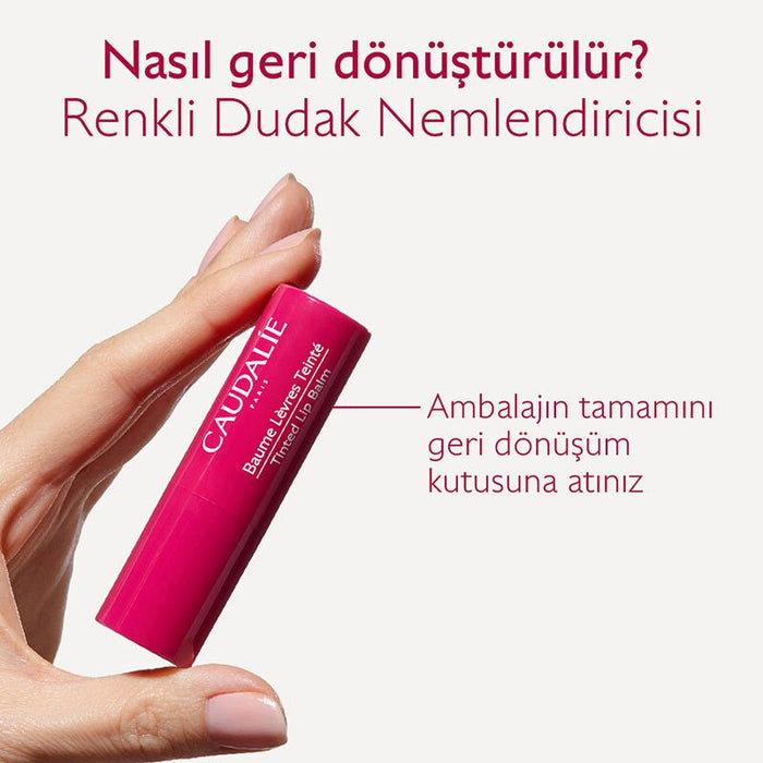 Colored Lip Balm - Hydrating & Nourishing with Organic Shea & Grape Polyphenols - TryAladdin