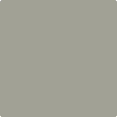 Shop CSP-760 Oil Cloth by Benjamin Moore at Catalina Paint Stores. We are your local Los Angeles Benjmain Moore dealer.