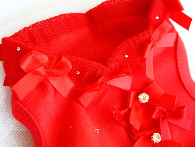 Cupcakes and Tutus Dress