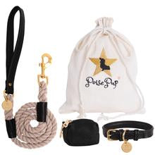 Dark Night Leash