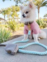 Desert Mint Waste Bag Holder
