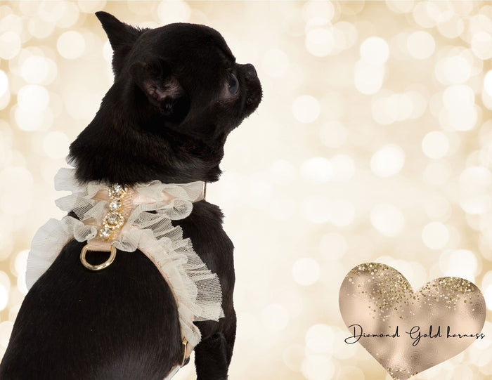 Diamond Gold Doggie Harness
