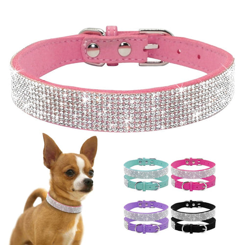 'Diamonds are a Dog's Best Friend' Collar