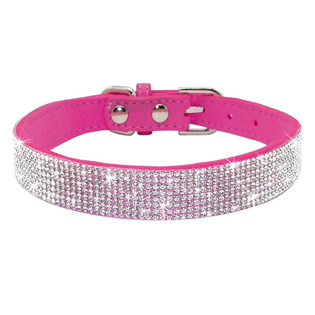 'Diamonds are a Dog's Best Friend' Collar