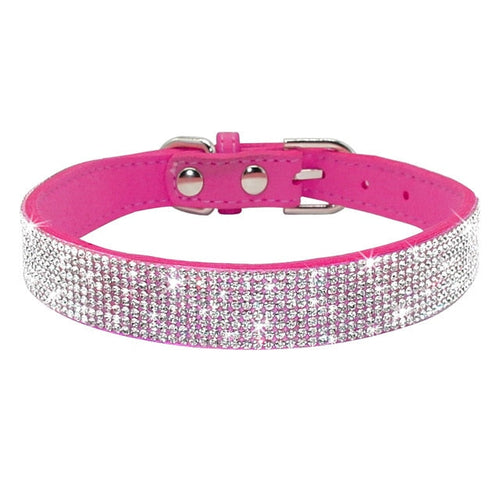 'Diamonds are a Dog's Best Friend' Collar