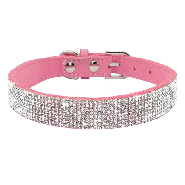 'Diamonds are a Dog's Best Friend' Collar