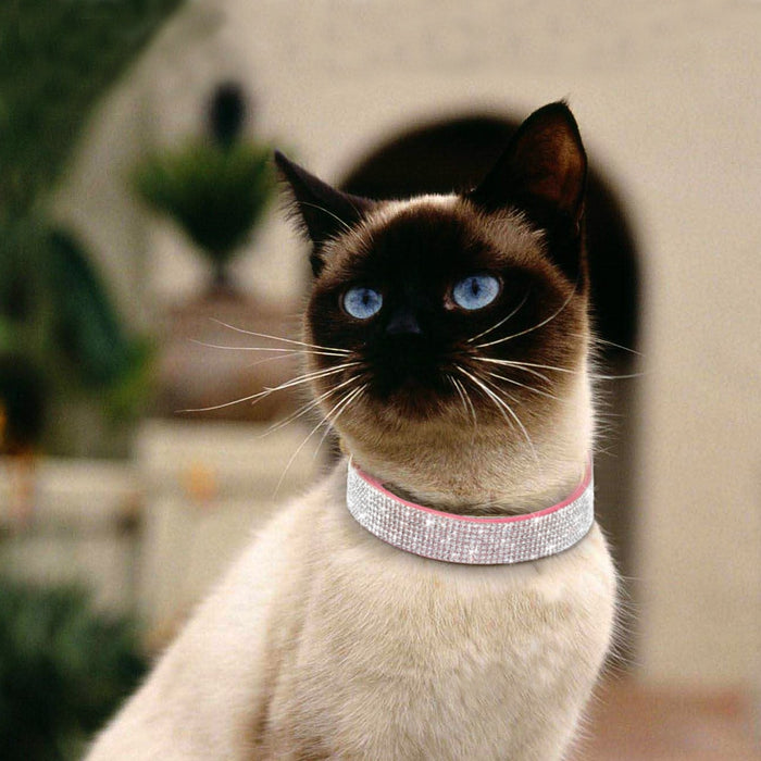 'Diamonds are a Dog's Best Friend' Collar