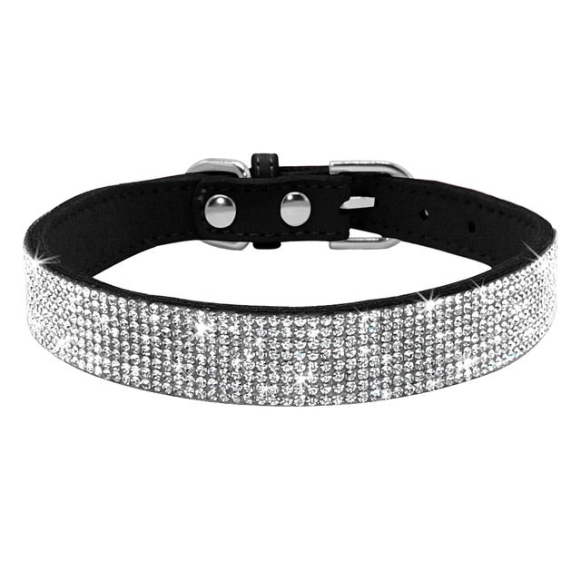 'Diamonds are a Dog's Best Friend' Collar