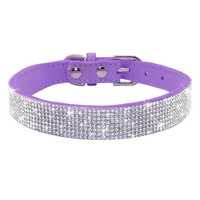 Purple Diva / M