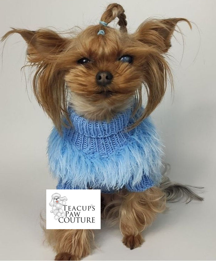 'Drama is my Middle Name' Fringe Doggie Sweater