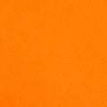 Electric Orange Solid Leash