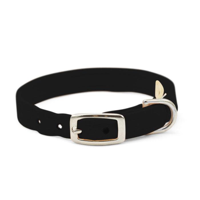 Embroidered Paws Collar with Studs