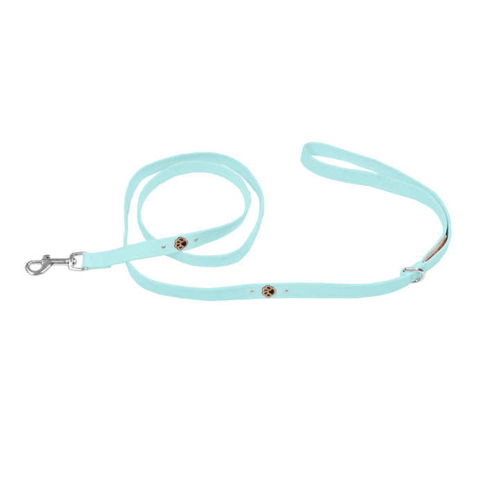 Embroidered Paws with Crystals Leash