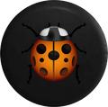 Emoji Text Ladybug