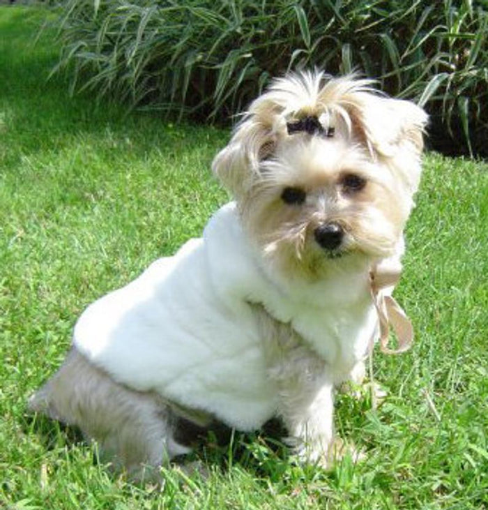 Fun Fur Sleeveless Crème' Coat