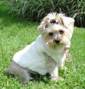 Fun Fur Sleeveless Crème' Coat