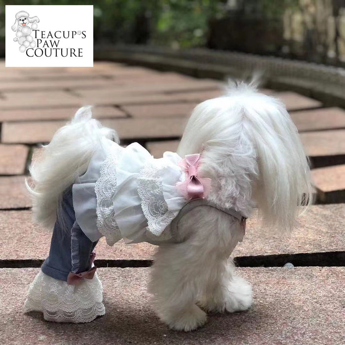 Glamour in Lace Doggie Romper