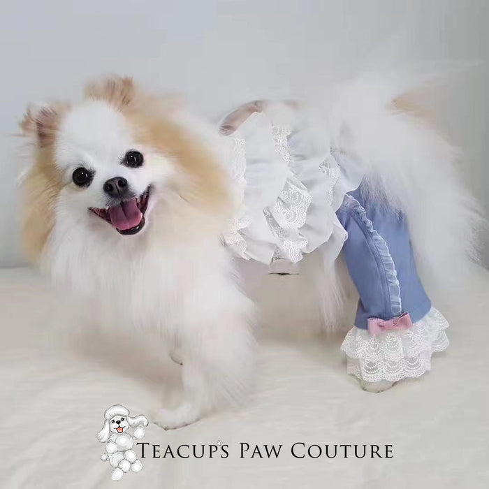 Glamour in Lace Doggie Romper