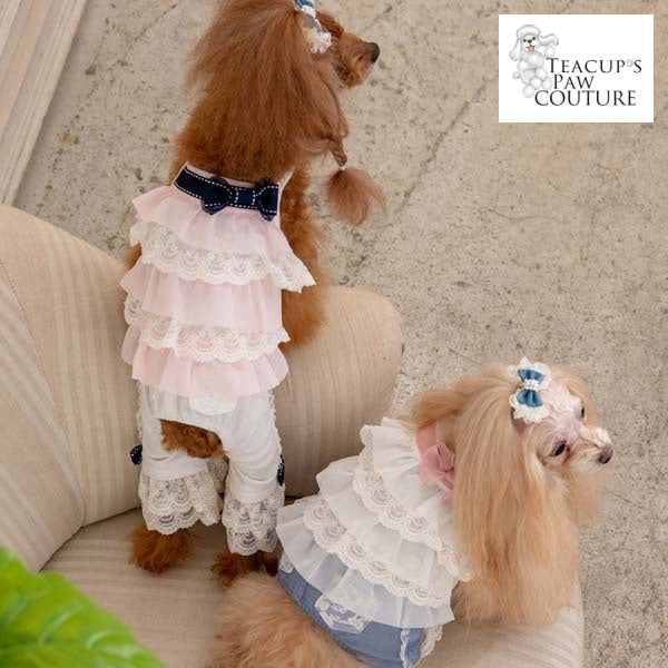 Glamour in Lace Doggie Romper