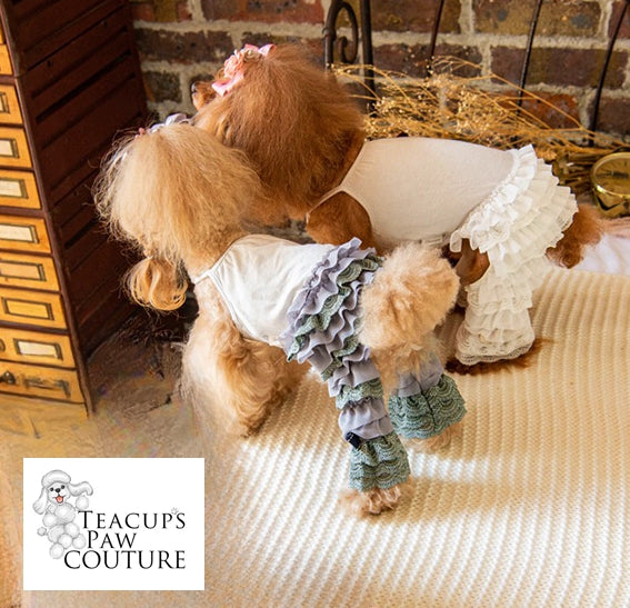 Glamour in Ruffles Doggie Romper