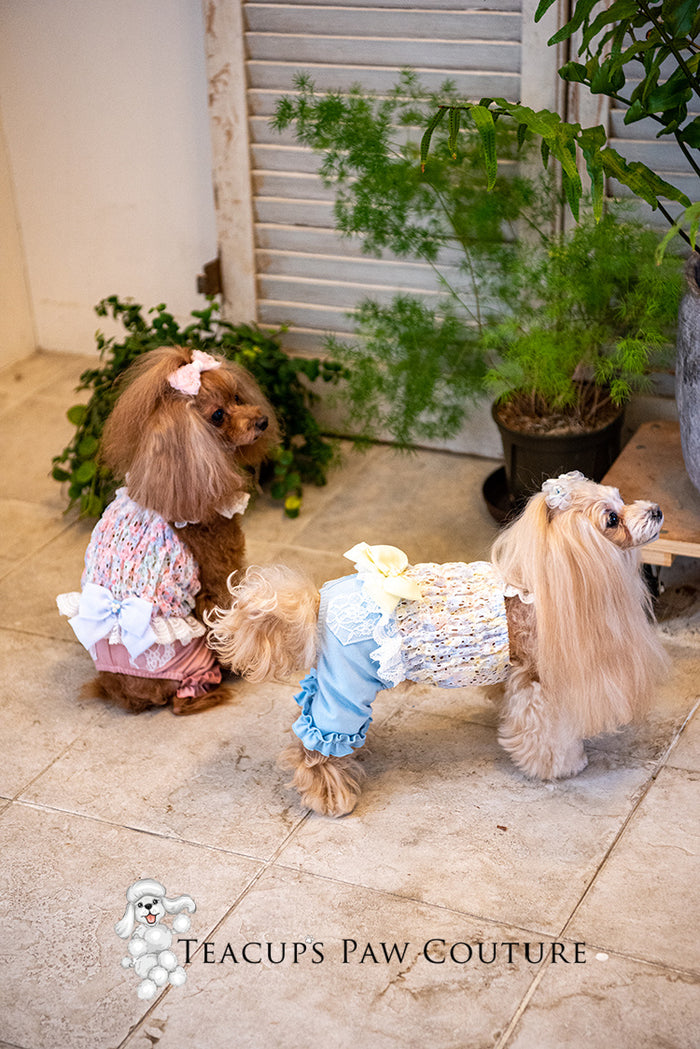 Glamour in Spring Doggie Romper