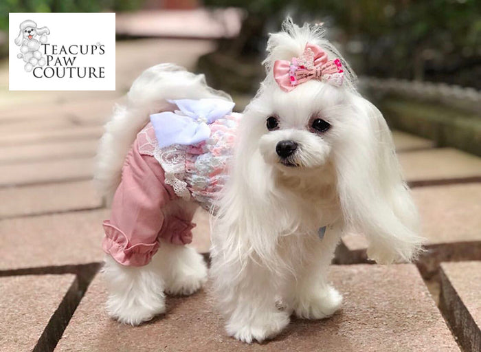 Glamour in Spring Doggie Romper