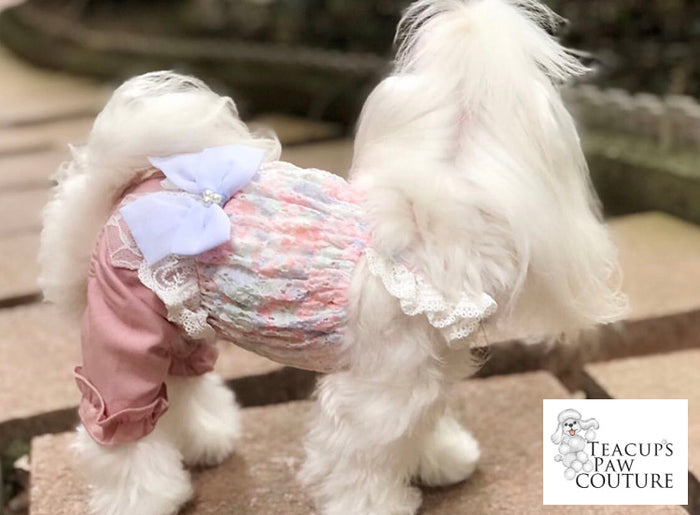 Glamour in Spring Doggie Romper