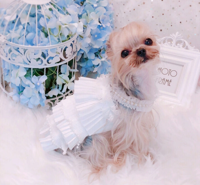Glamourpuss in Pleats Layered Dress