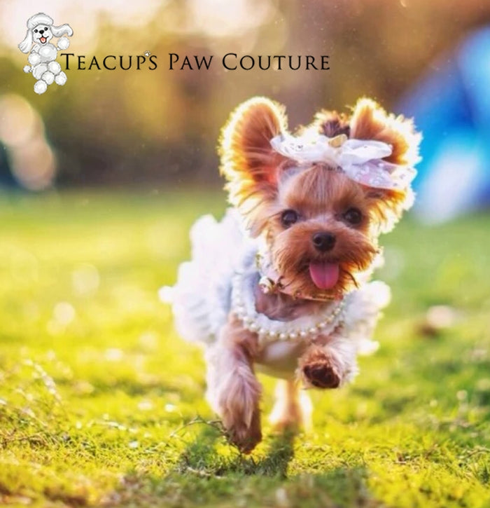 Glamourpuss in Pleats Layered Dress