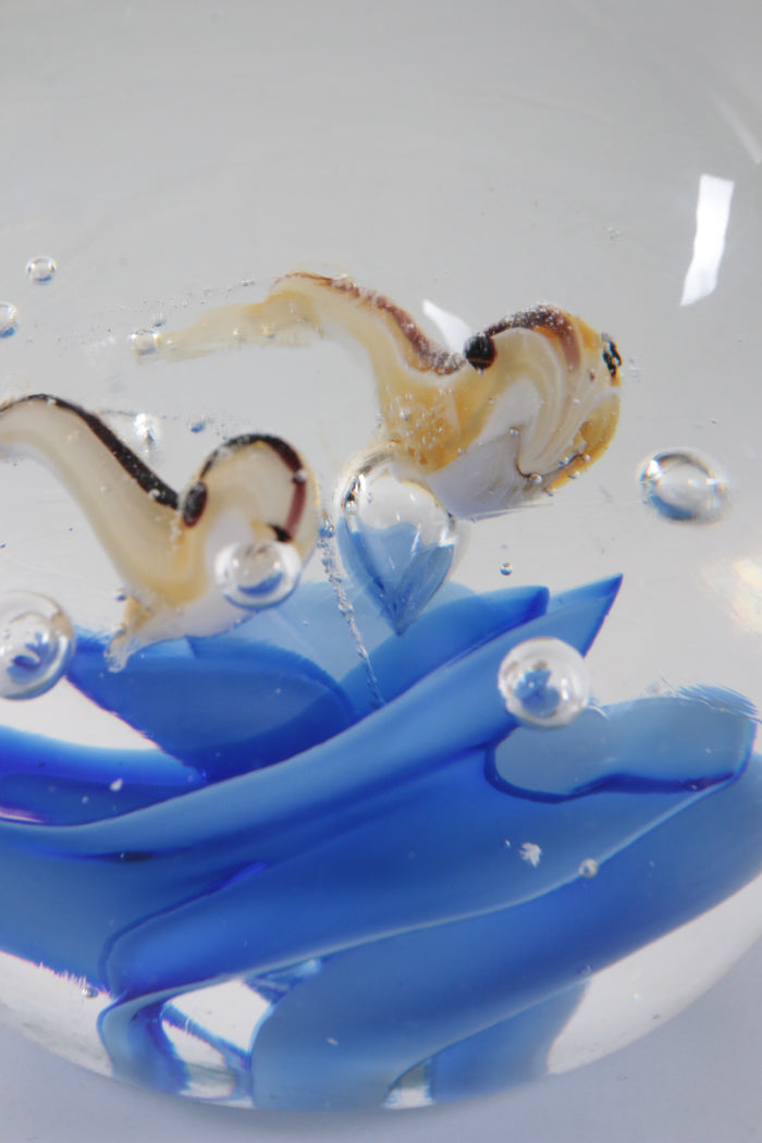 Glas aquarium Paperweight met vissen