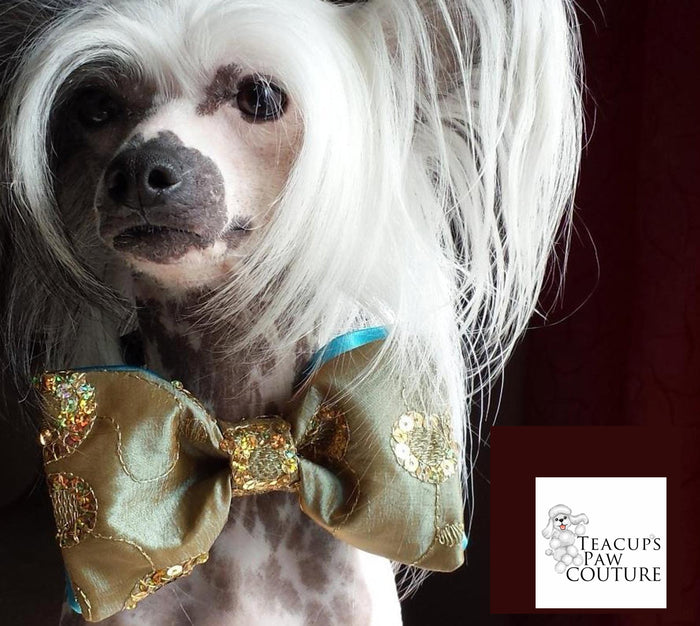 Gold Sequin and Turquoise Brocade Couture Bowtie
